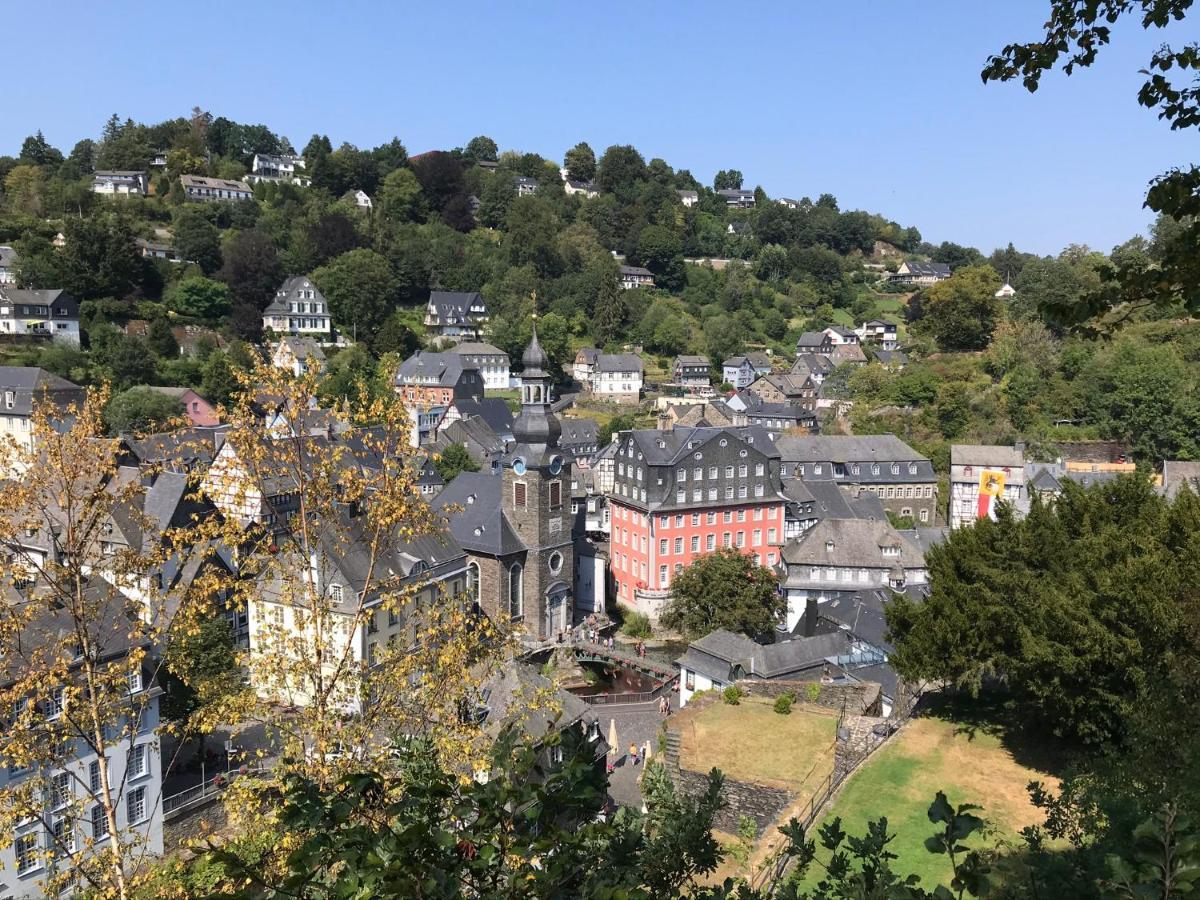 Villa Holgenbach - Penthouse- Und Ferienwohnung Im Nationalpark Eifel Шляйден Екстер'єр фото