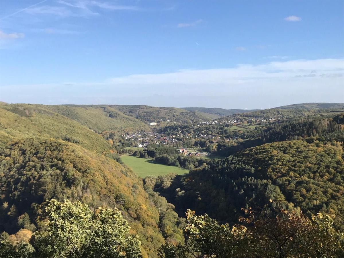 Villa Holgenbach - Penthouse- Und Ferienwohnung Im Nationalpark Eifel Шляйден Екстер'єр фото
