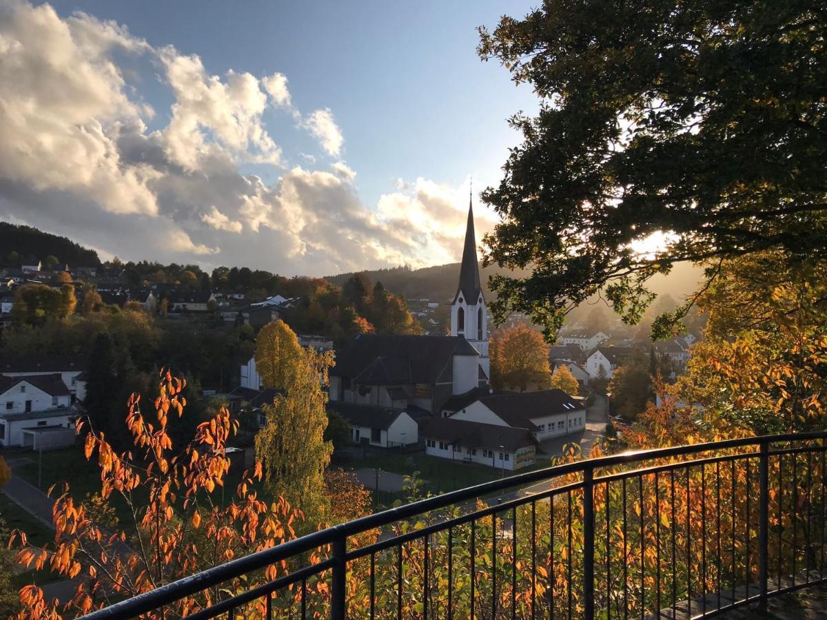 Villa Holgenbach - Penthouse- Und Ferienwohnung Im Nationalpark Eifel Шляйден Екстер'єр фото