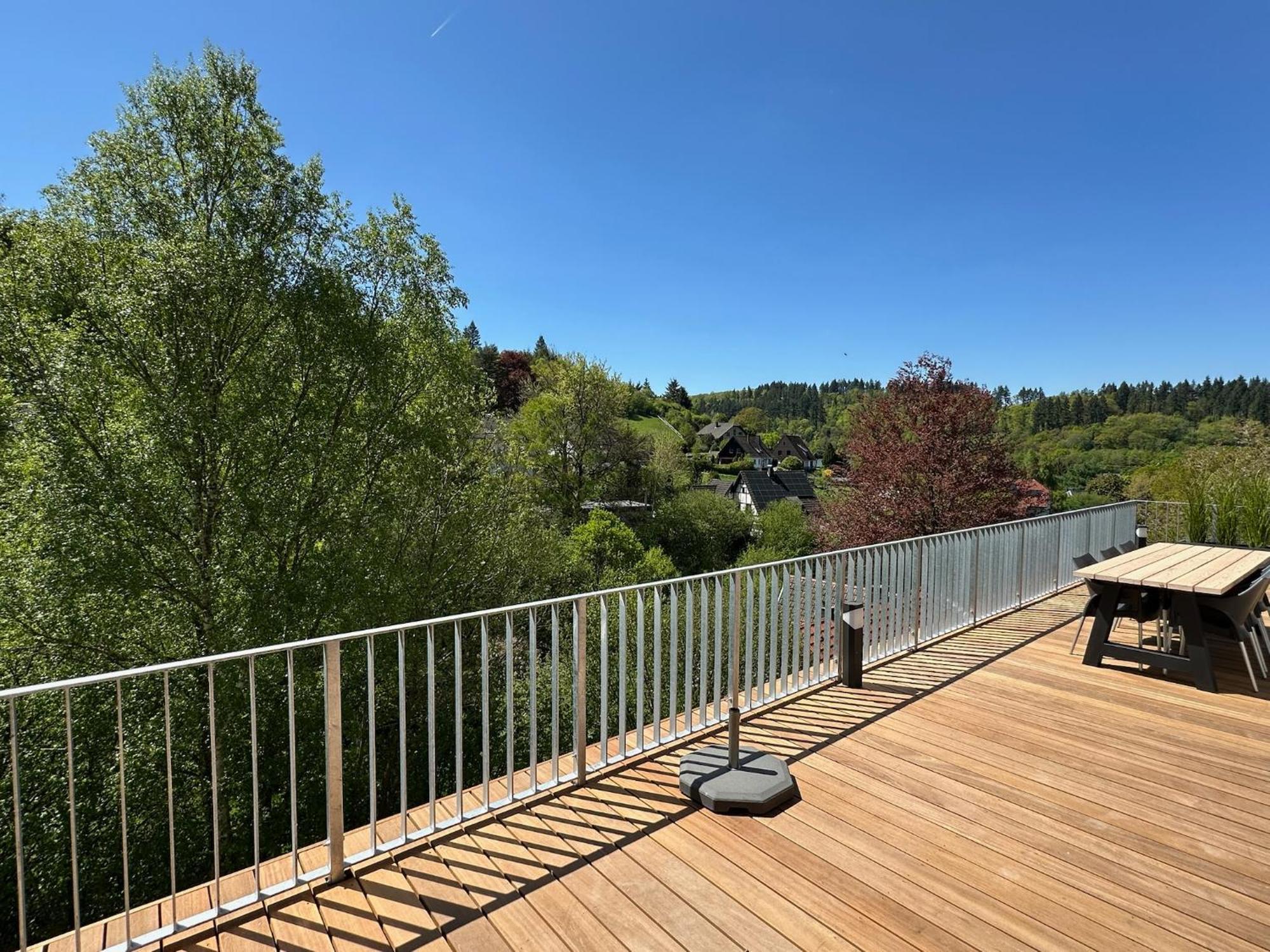 Villa Holgenbach - Penthouse- Und Ferienwohnung Im Nationalpark Eifel Шляйден Екстер'єр фото
