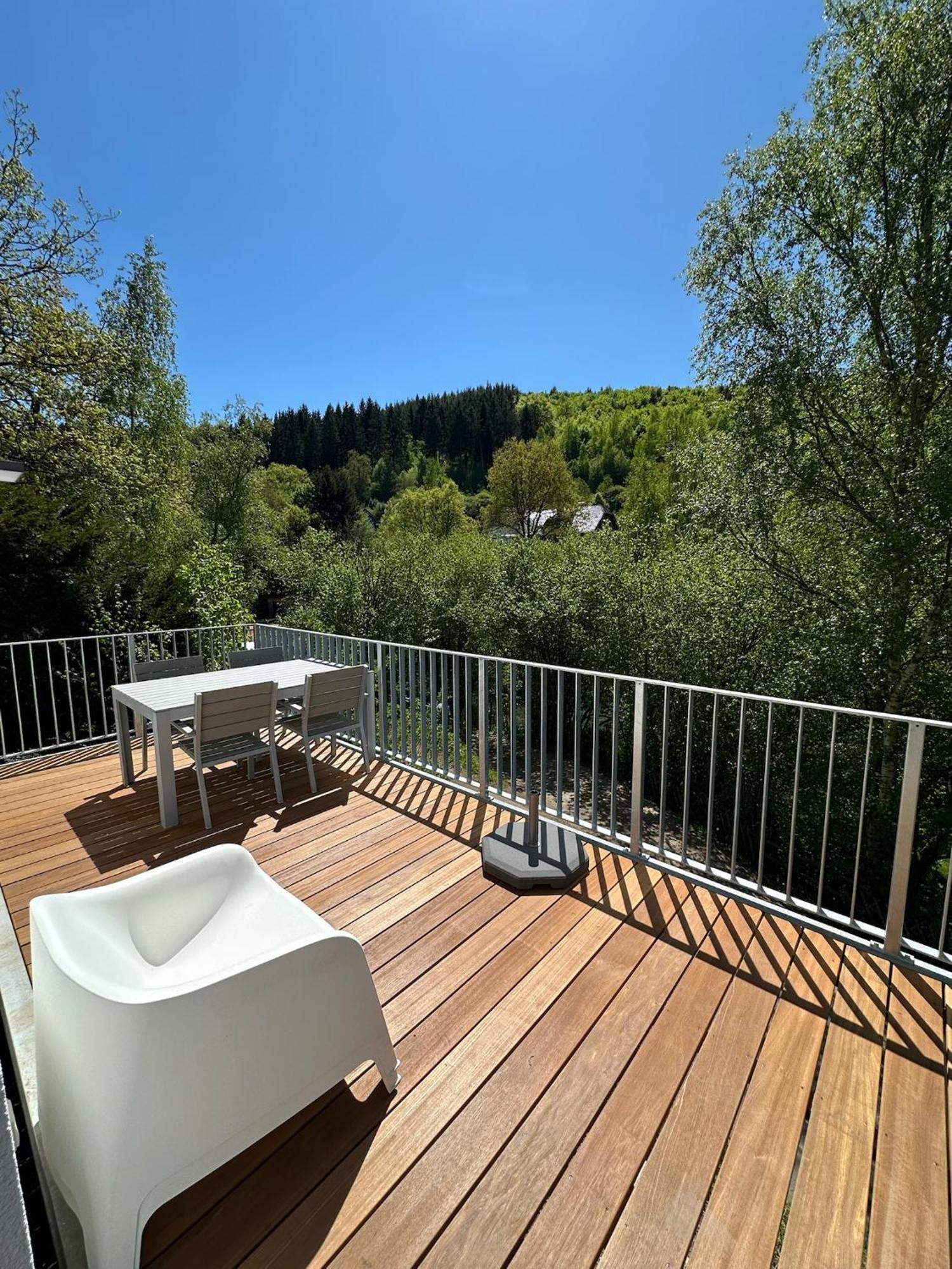 Villa Holgenbach - Penthouse- Und Ferienwohnung Im Nationalpark Eifel Шляйден Екстер'єр фото