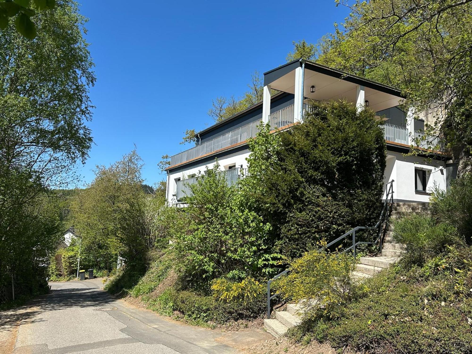Villa Holgenbach - Penthouse- Und Ferienwohnung Im Nationalpark Eifel Шляйден Екстер'єр фото