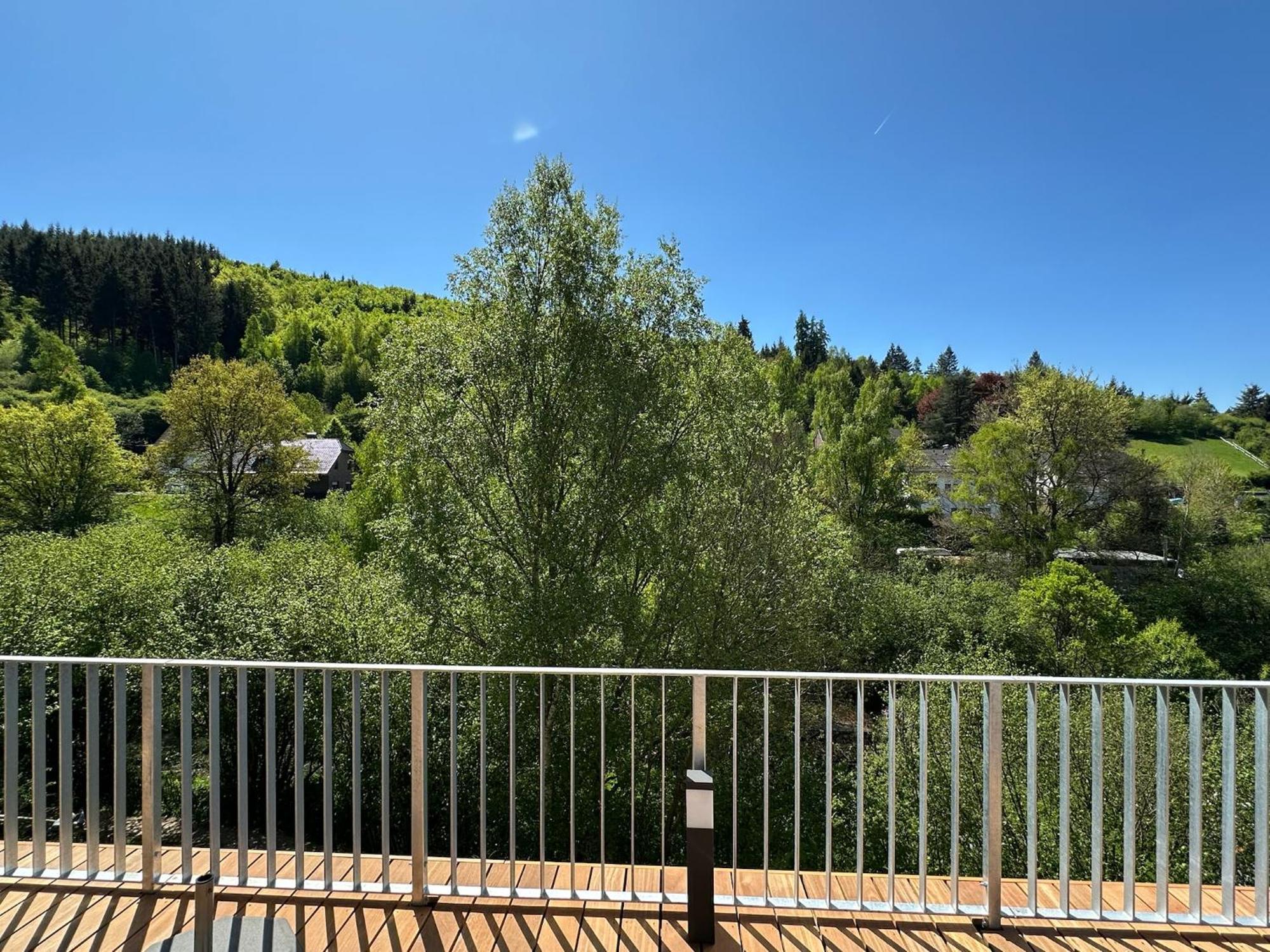 Villa Holgenbach - Penthouse- Und Ferienwohnung Im Nationalpark Eifel Шляйден Екстер'єр фото
