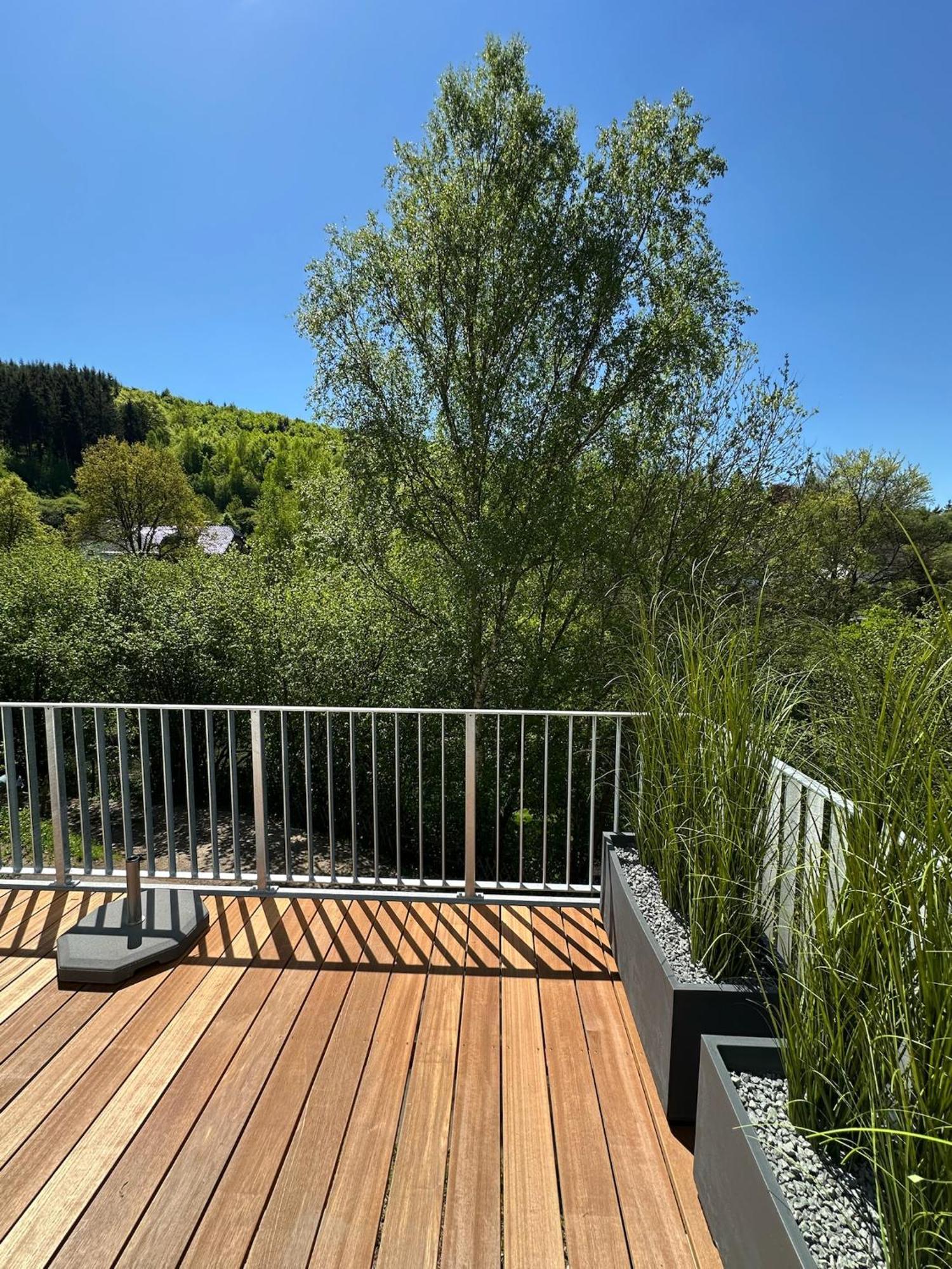 Villa Holgenbach - Penthouse- Und Ferienwohnung Im Nationalpark Eifel Шляйден Екстер'єр фото